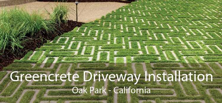 Greencrete Driveway Installation Oak Park - California