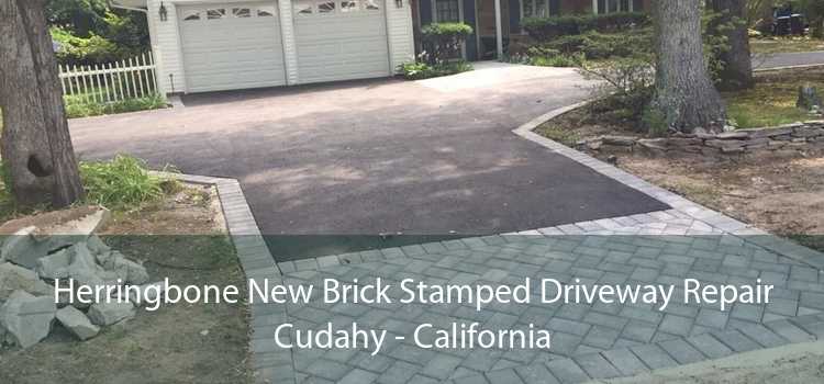 Herringbone New Brick Stamped Driveway Repair Cudahy - California