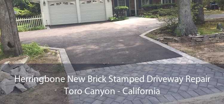 Herringbone New Brick Stamped Driveway Repair Toro Canyon - California