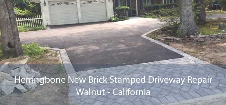 Herringbone New Brick Stamped Driveway Repair Walnut - California