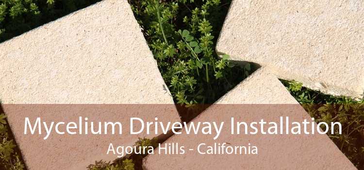 Mycelium Driveway Installation Agoura Hills - California