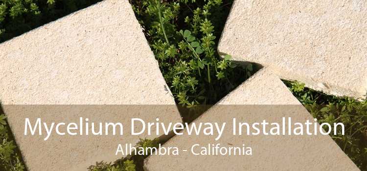Mycelium Driveway Installation Alhambra - California