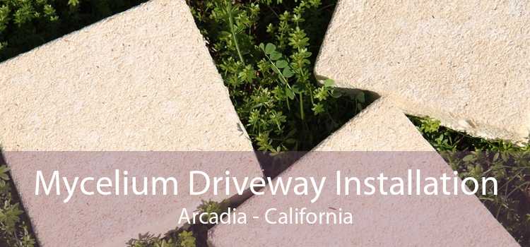 Mycelium Driveway Installation Arcadia - California