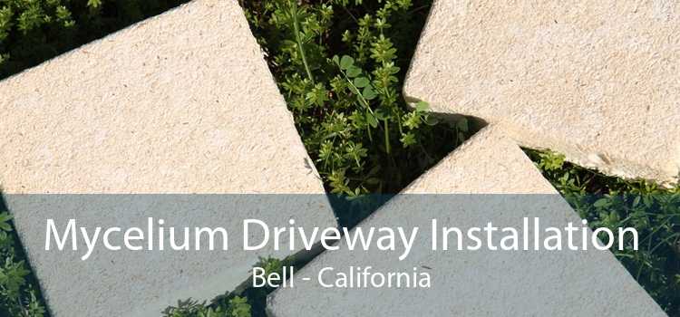 Mycelium Driveway Installation Bell - California
