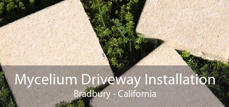 Mycelium Driveway Installation Bradbury - California