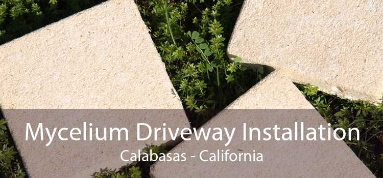 Mycelium Driveway Installation Calabasas - California