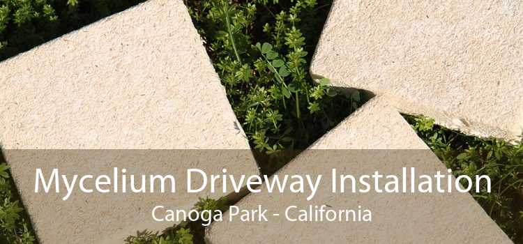 Mycelium Driveway Installation Canoga Park - California
