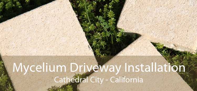 Mycelium Driveway Installation Cathedral City - California