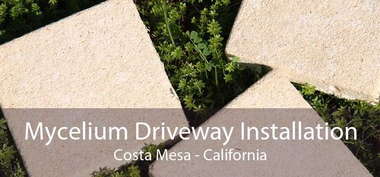 Mycelium Driveway Installation Costa Mesa - California