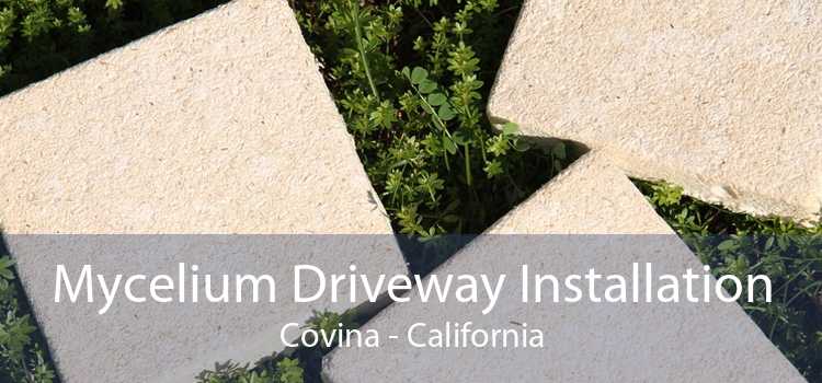 Mycelium Driveway Installation Covina - California