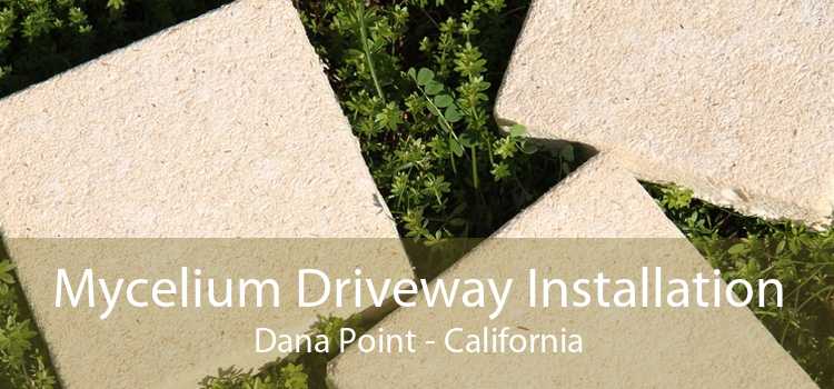Mycelium Driveway Installation Dana Point - California