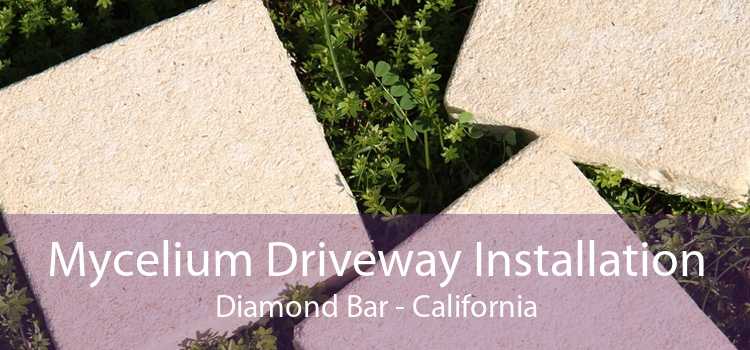 Mycelium Driveway Installation Diamond Bar - California