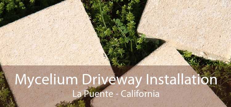 Mycelium Driveway Installation La Puente - California