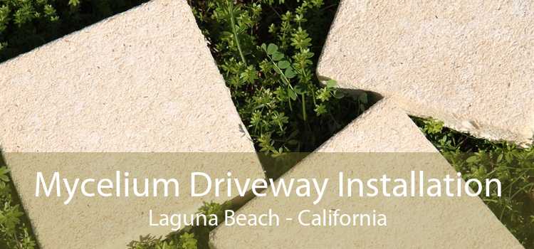 Mycelium Driveway Installation Laguna Beach - California