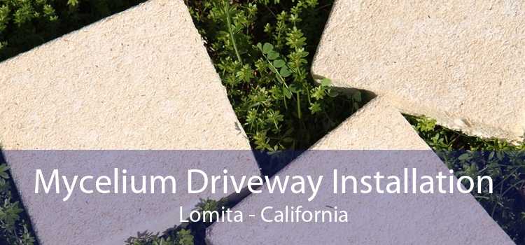 Mycelium Driveway Installation Lomita - California