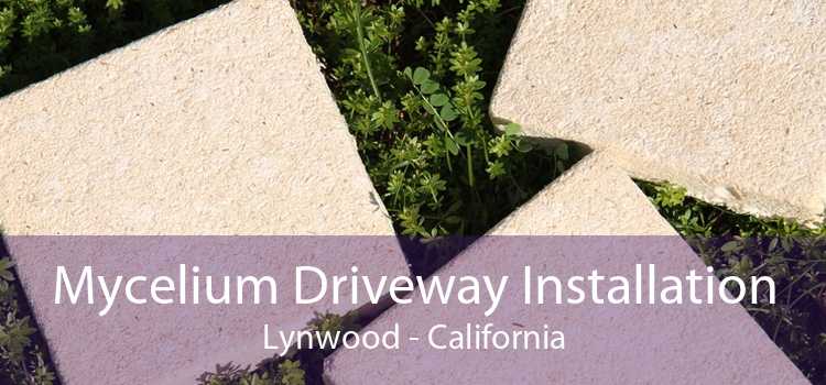 Mycelium Driveway Installation Lynwood - California