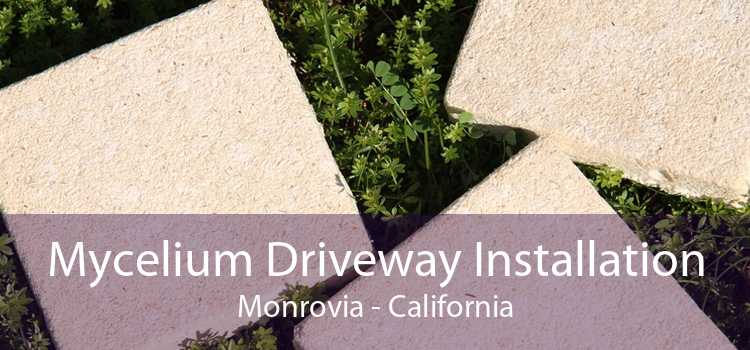 Mycelium Driveway Installation Monrovia - California