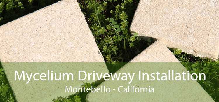 Mycelium Driveway Installation Montebello - California