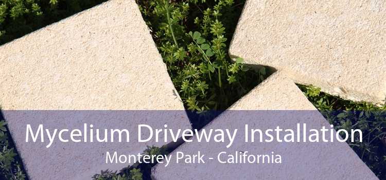 Mycelium Driveway Installation Monterey Park - California