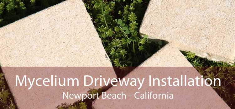Mycelium Driveway Installation Newport Beach - California