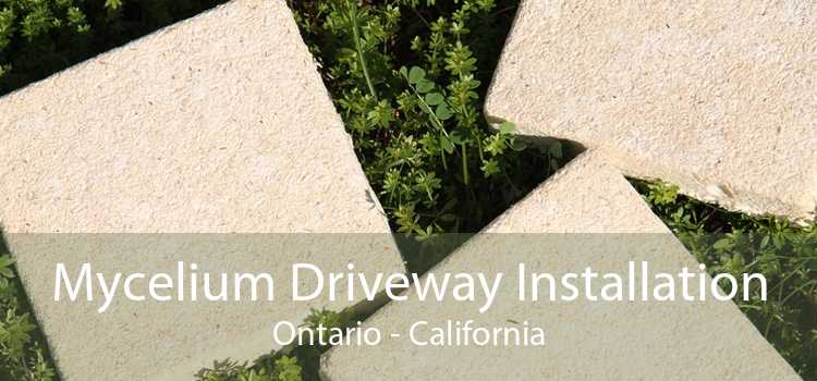 Mycelium Driveway Installation Ontario - California