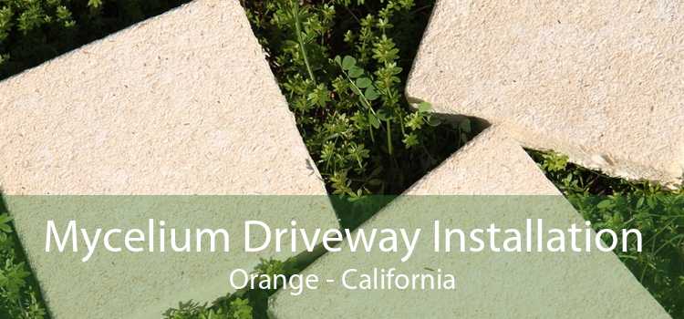 Mycelium Driveway Installation Orange - California