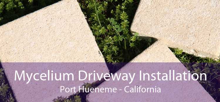 Mycelium Driveway Installation Port Hueneme - California