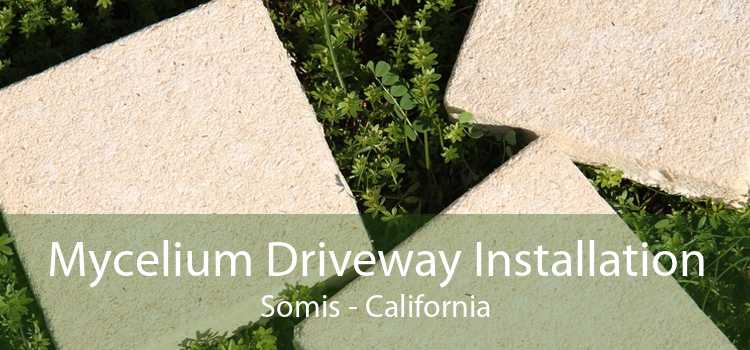 Mycelium Driveway Installation Somis - California