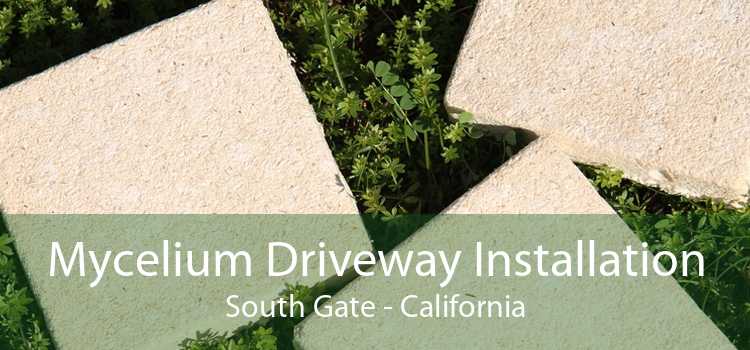 Mycelium Driveway Installation South Gate - California