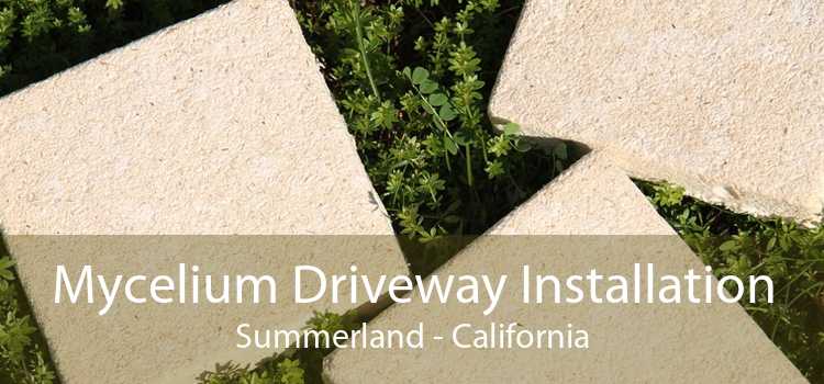 Mycelium Driveway Installation Summerland - California