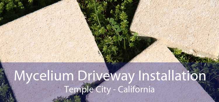 Mycelium Driveway Installation Temple City - California