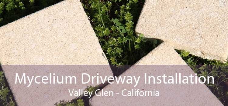 Mycelium Driveway Installation Valley Glen - California