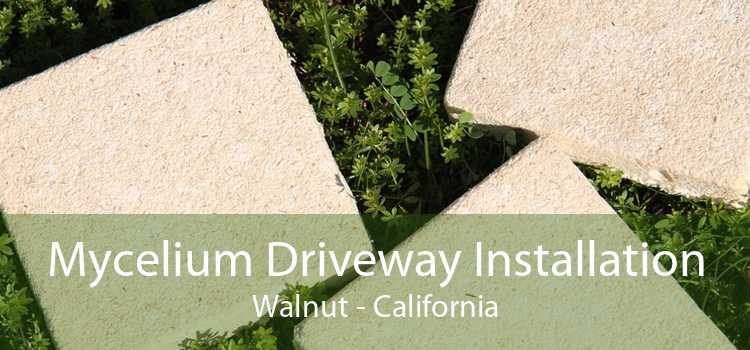 Mycelium Driveway Installation Walnut - California