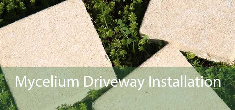 Mycelium Driveway Installation 